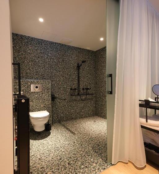 Номер Стандарт Кровать Кинг Адаптированный для Инвалидов, Lese