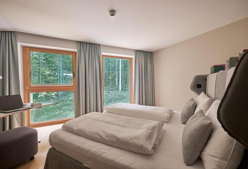 Номер Стандарт Кровать Кинг Адаптированный для Инвалидов, Lese