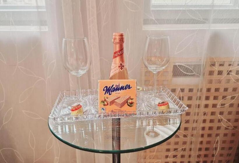 豪华房间, Palais Elegance Wien