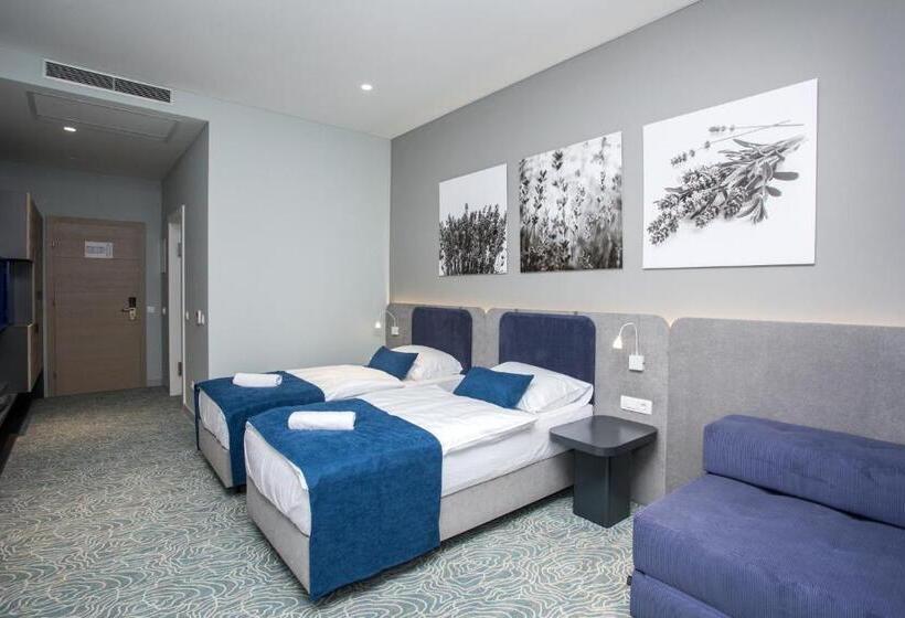 スタンダードルーム, President