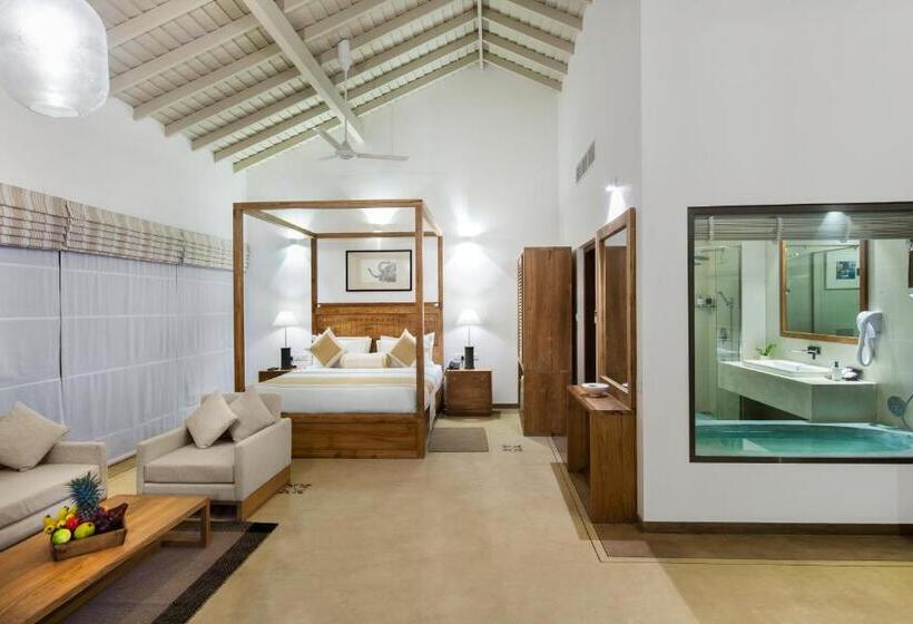 Люкс Вид на Море, The Lucky Elephant