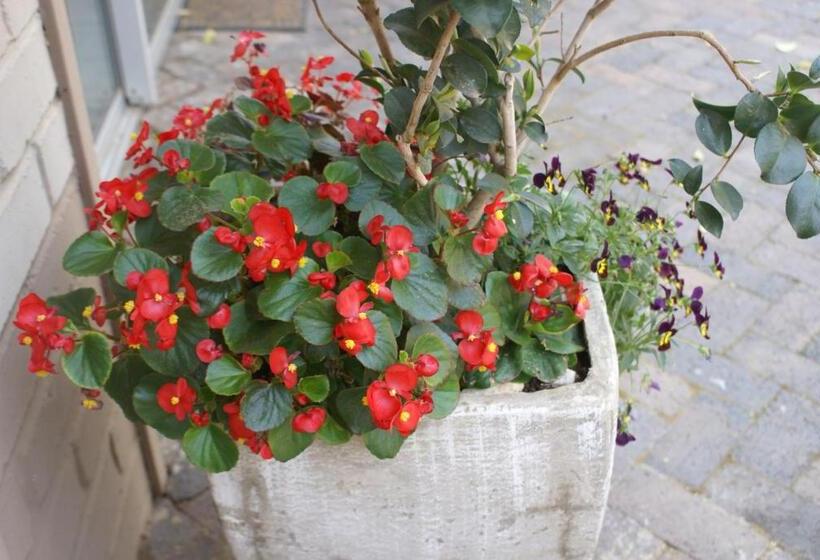 家族用アパートメント, Flutterby Guesthouse