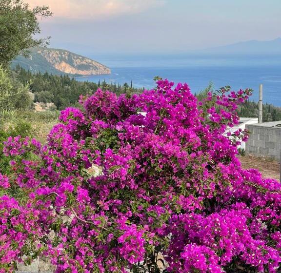 اتاق لوکس سه تخته, Solomon&sons