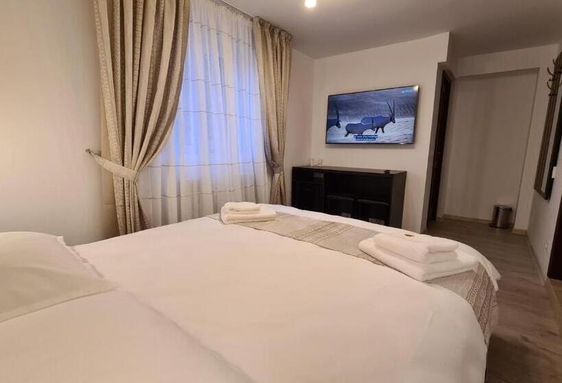 آپارتمان 1 خوابه با تراس, Pensiunea Mădălina