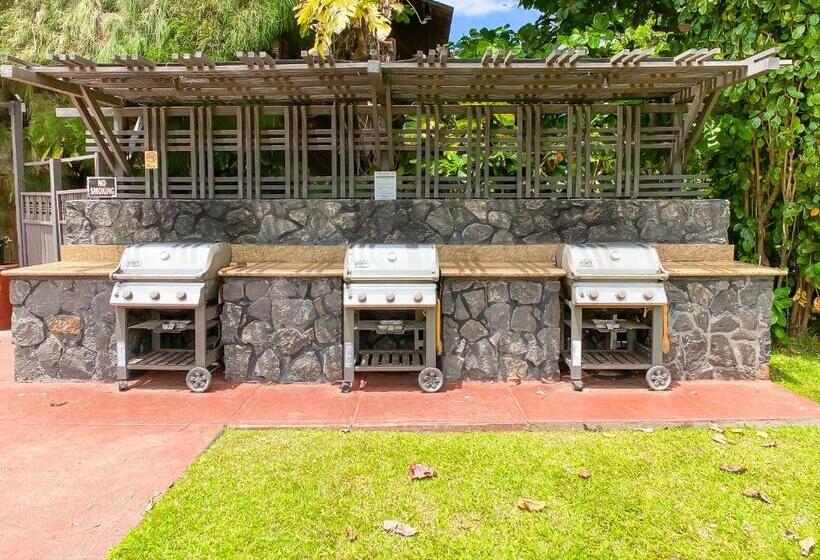 Апартаменты 1 Спальня Вид на Море, Waiohuli Beach Hale D227   Aloha La I   Oceanfront/1b1b/wifi/ac/cable/pool/extras