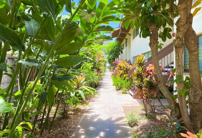 Апартаменты 1 Спальня Вид на Море, Waiohuli Beach Hale D227   Aloha La I   Oceanfront/1b1b/wifi/ac/cable/pool/extras