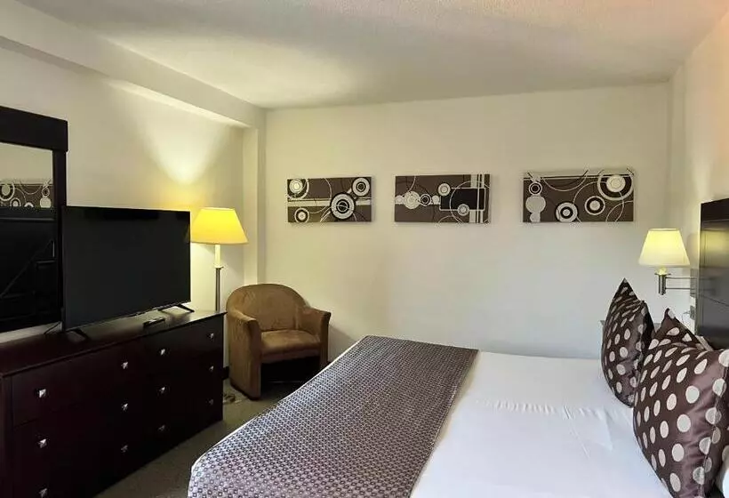 سوییت, Gh Guaparo Suites