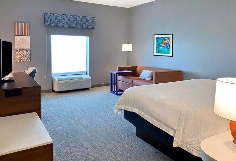 اتاق استاندارد با تخت بزرگ, Hampton Inn & Suites Clearwater/st. Petersburg Ulmerton Road, Fl