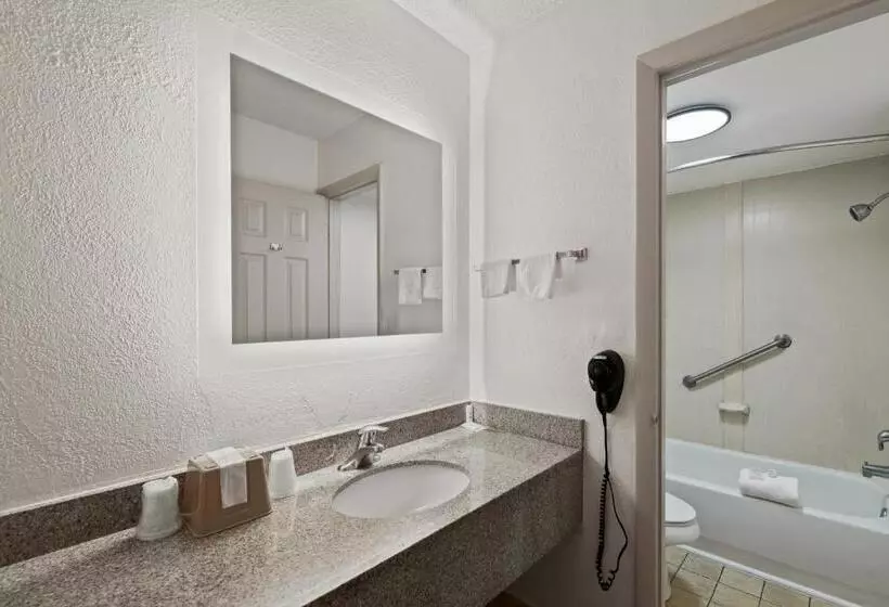 キングサイズベッドのスタンダードルーム, Americas Best Value Inn Orlando, Fl