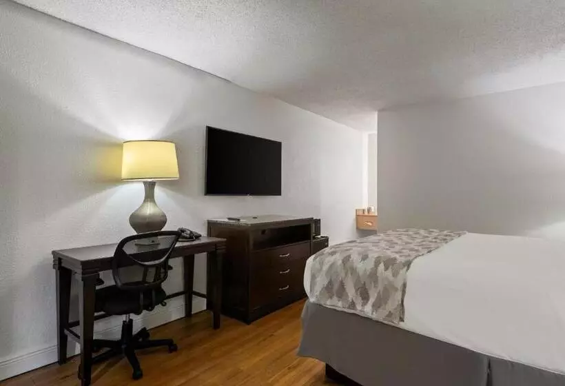 キングサイズベッドのスタンダードルーム, Americas Best Value Inn Orlando, Fl