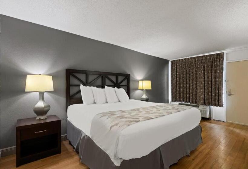 스탠다드 룸 킹사이즈 침대, Americas Best Value Inn Orlando, Fl