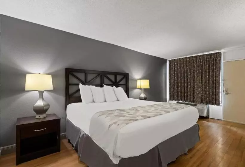 キングサイズベッドのスタンダードルーム, Americas Best Value Inn Orlando, Fl