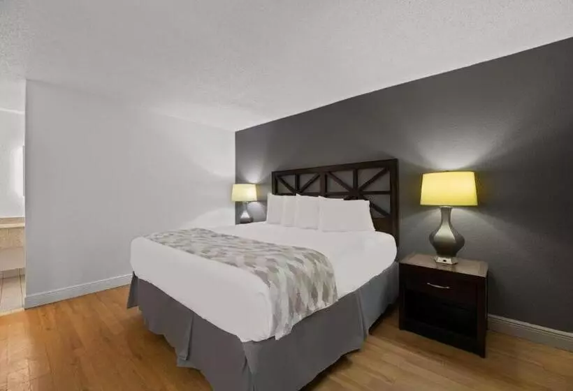 キングサイズベッドのスタンダードルーム, Americas Best Value Inn Orlando, Fl