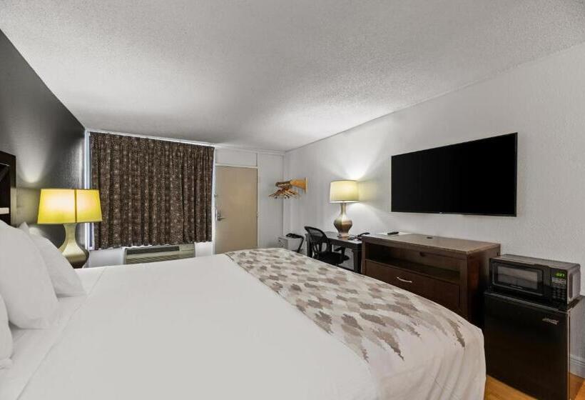 스탠다드 룸 킹사이즈 침대, Americas Best Value Inn Orlando, Fl