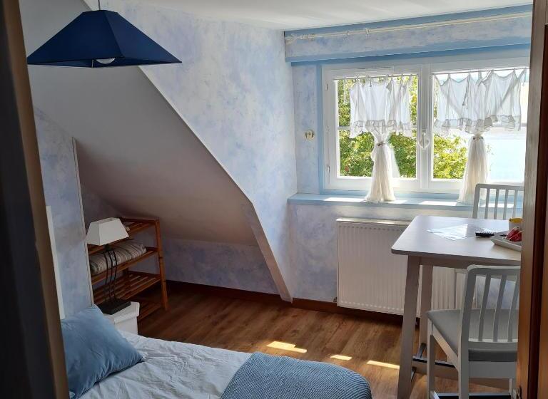 غرفة قياسية مطلّة علي البحر, Les Mouettes Blessées