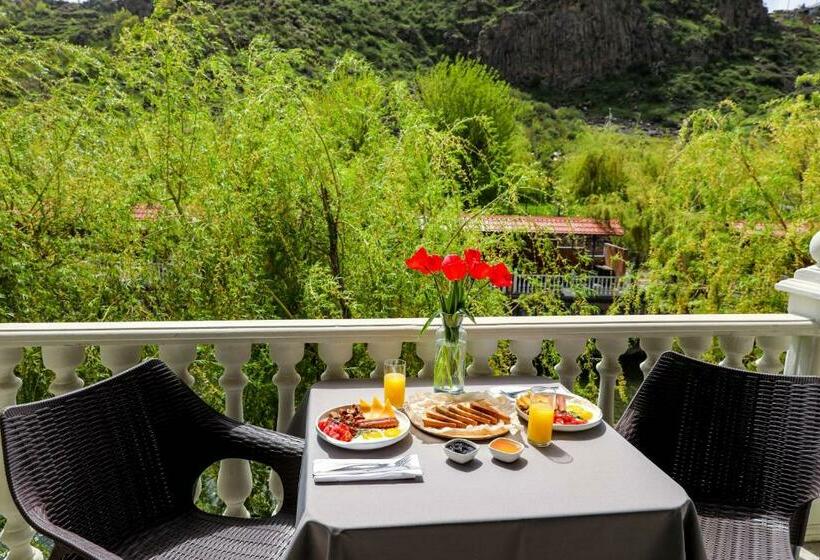 デラックスルーム, Getap Resort Arzni