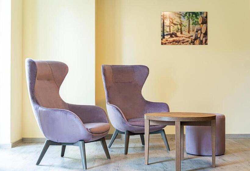 장애인을 위한 킹사이즈 침대 스탠다드 룸, Robenstein Aktivhotel & Spa