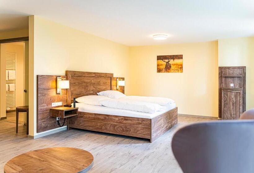 장애인을 위한 킹사이즈 침대 스탠다드 룸, Robenstein Aktivhotel & Spa