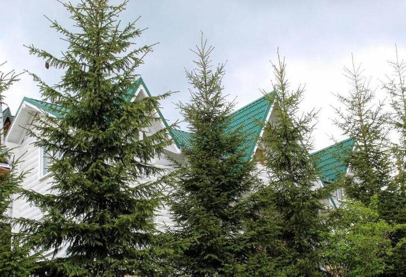 Huis met 1 Slaapkamer, мала одеса