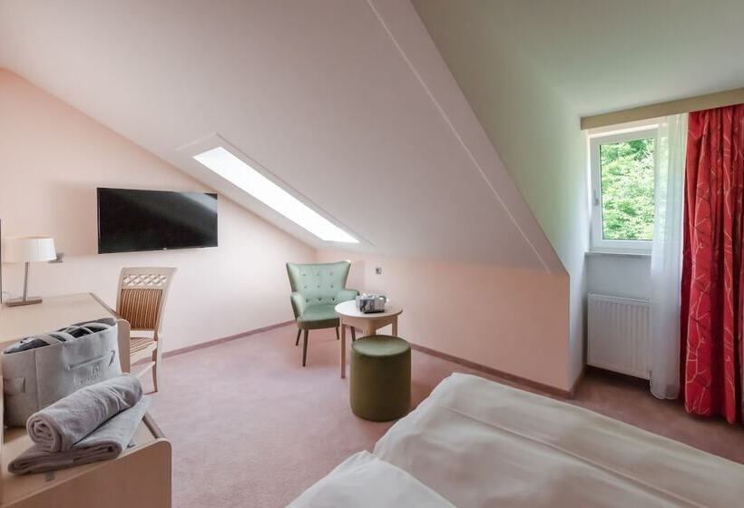 스탠다드 룸, Robenstein Aktivhotel & Spa