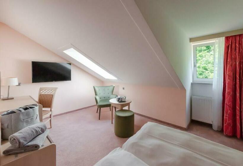 이코노미 룸, Robenstein Aktivhotel & Spa