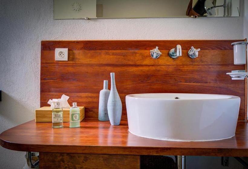 غرفة قياسية, Mas D'auseu