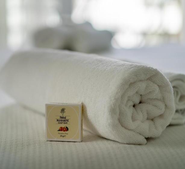 스탠다드 룸, Green Boutique Selimiye