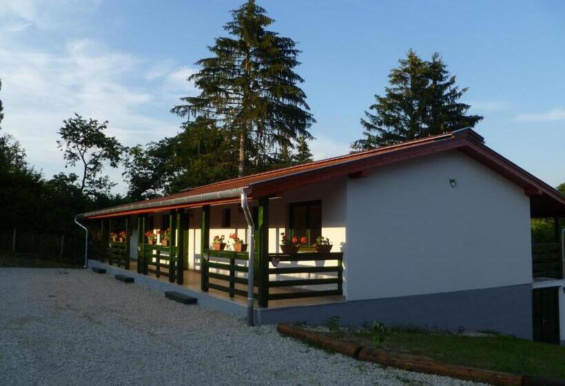 Appartement 1 Chambre avec Terrasse, Kisrejtek Apartmanház