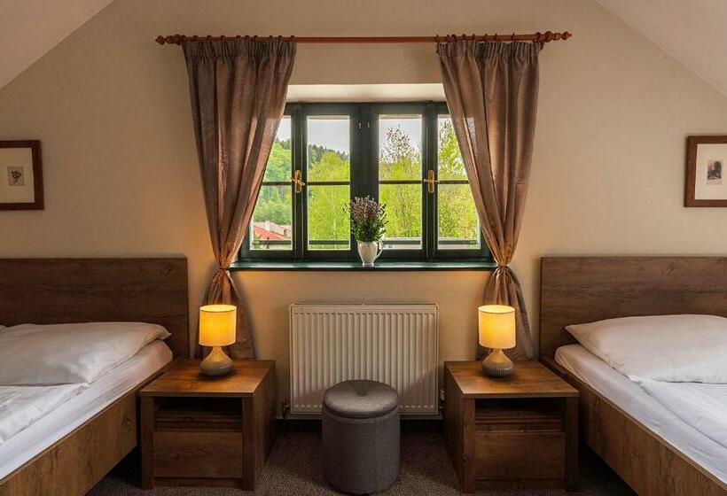 스탠다드 룸, Penzion Rejštejn