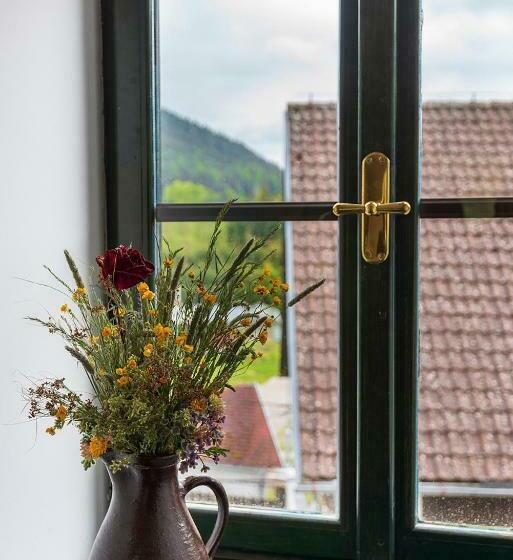 스탠다드 룸, Penzion Rejštejn