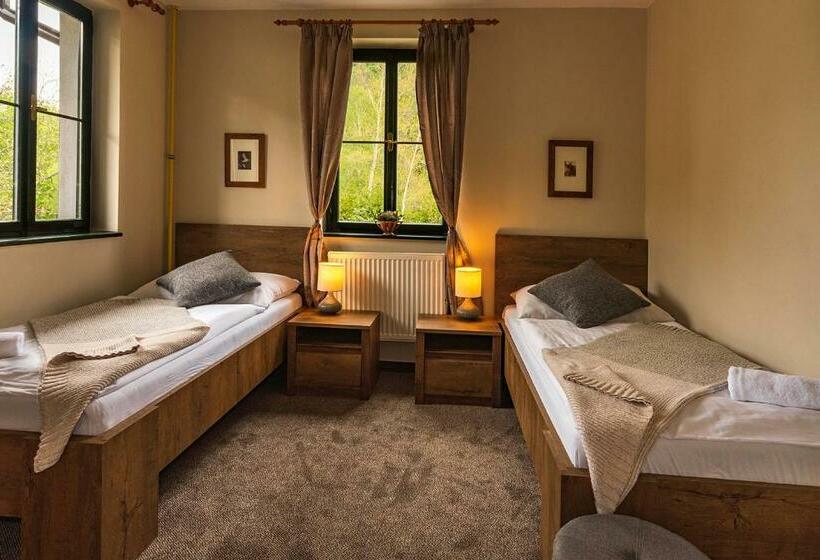 기본룸, Penzion Rejštejn