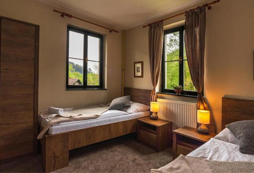 기본룸, Penzion Rejštejn