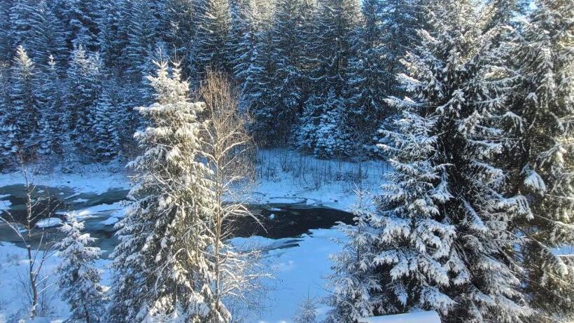 Standard Room with Terrace, готель River Hill