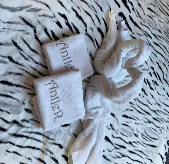آپارتمان 1 خوابه, Antler