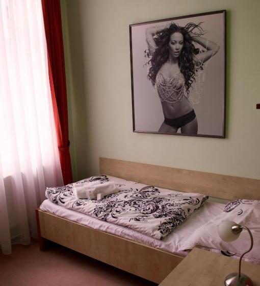 スタンダードシングルルーム, Antler