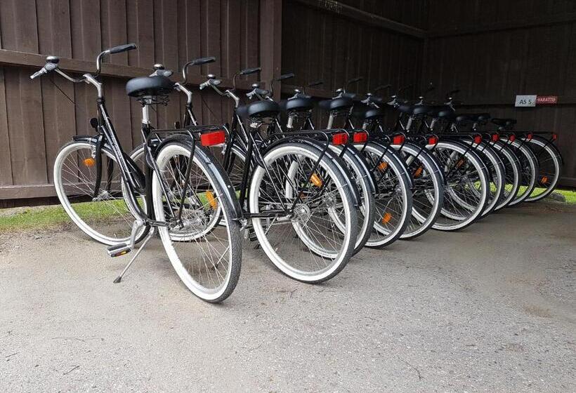 اتاق لوکس, Gasthaus Patruuna