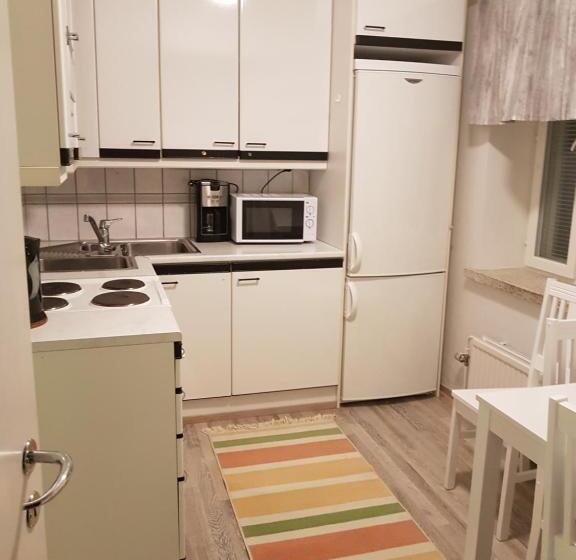 آپارتمان لوکس 1 خوابه, Gasthaus Patruuna