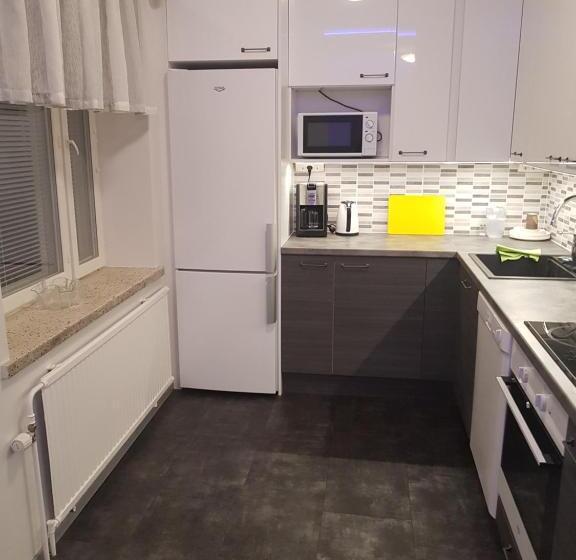 آپارتمان لوکس 1 خوابه, Gasthaus Patruuna