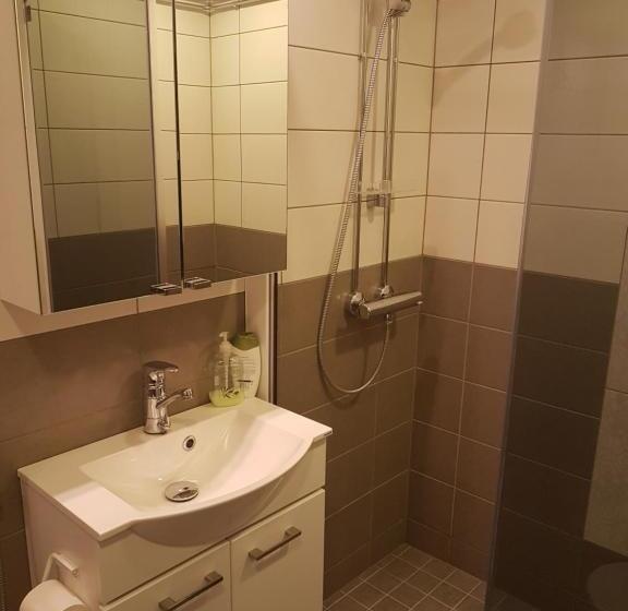 آپارتمان لوکس 1 خوابه, Gasthaus Patruuna