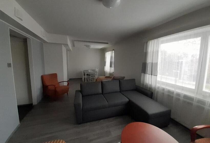 آپارتمان لوکس 1 خوابه, Gasthaus Patruuna