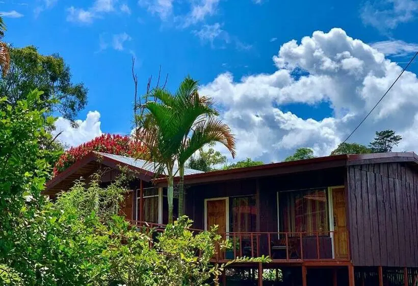 スタンダードルーム, Palenque Tarrazu