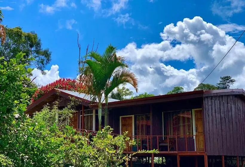 ファミリールーム, Palenque Tarrazu