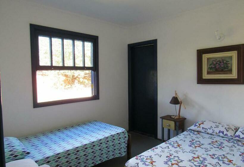 Suite, Arte De Minas