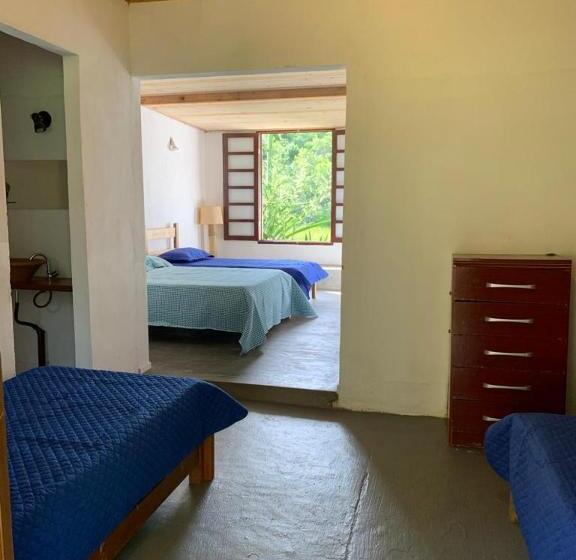 Familiekamer, Arte De Minas