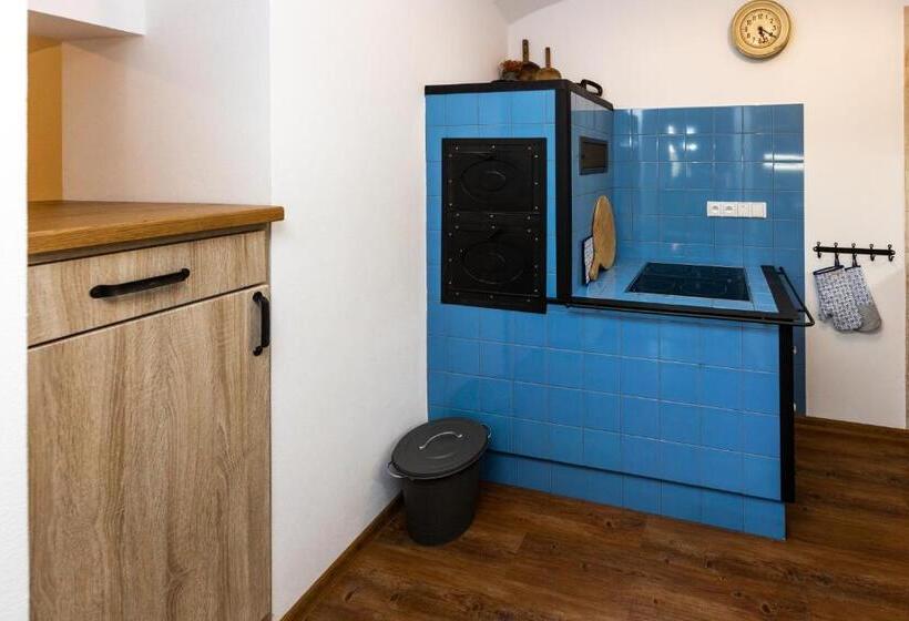 패밀리 스위트, Penzion Na Fojtství