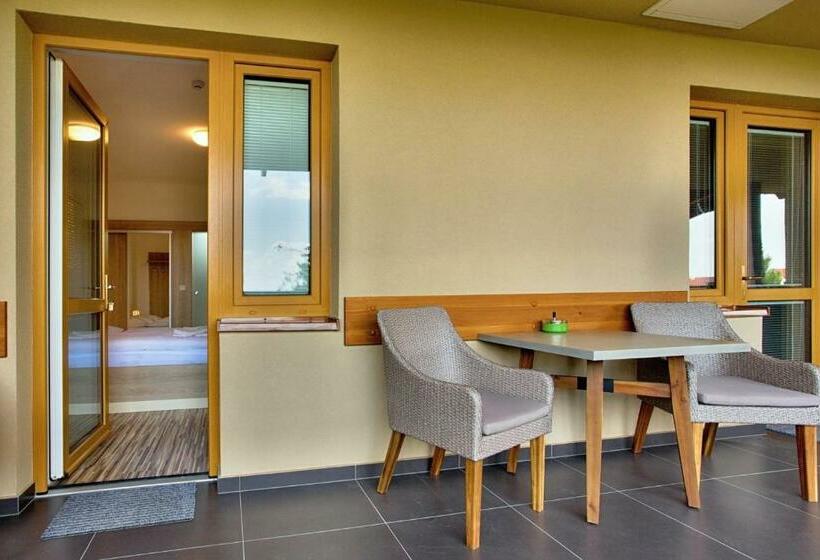 デラックスルーム, Rokava