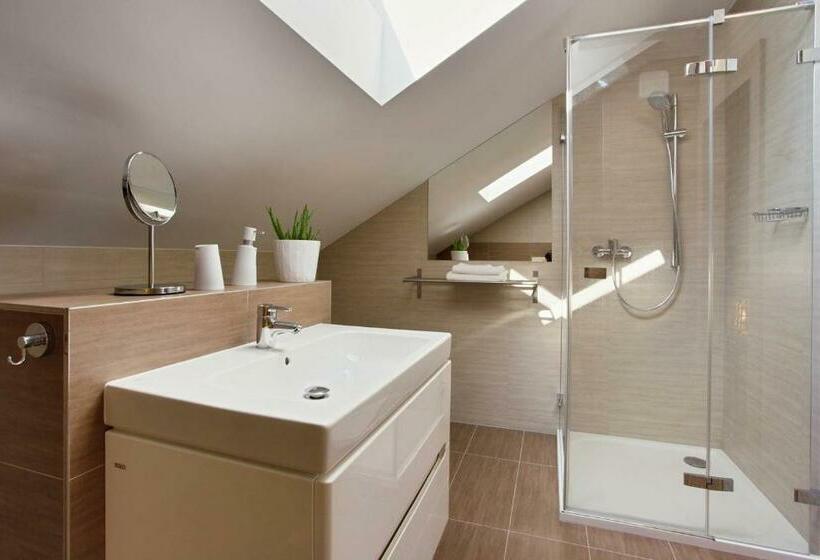 デラックスルーム, Rokava