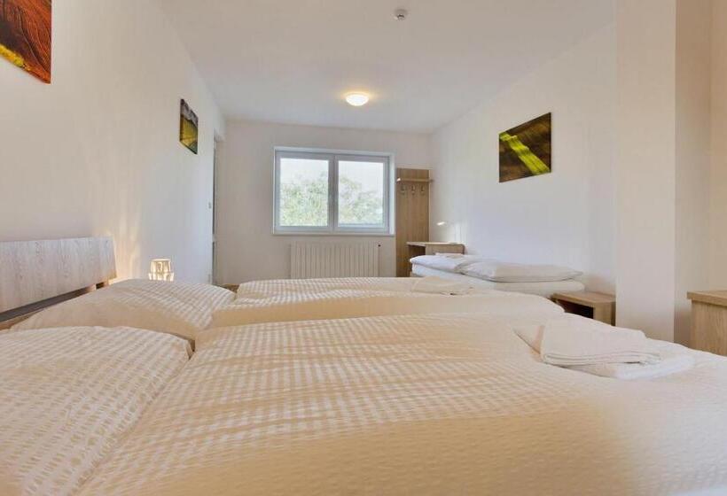 デラックスファミリールーム, Rokava