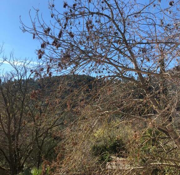 Номер Стандарт Вид на Сад, Auberge De Pachoquin