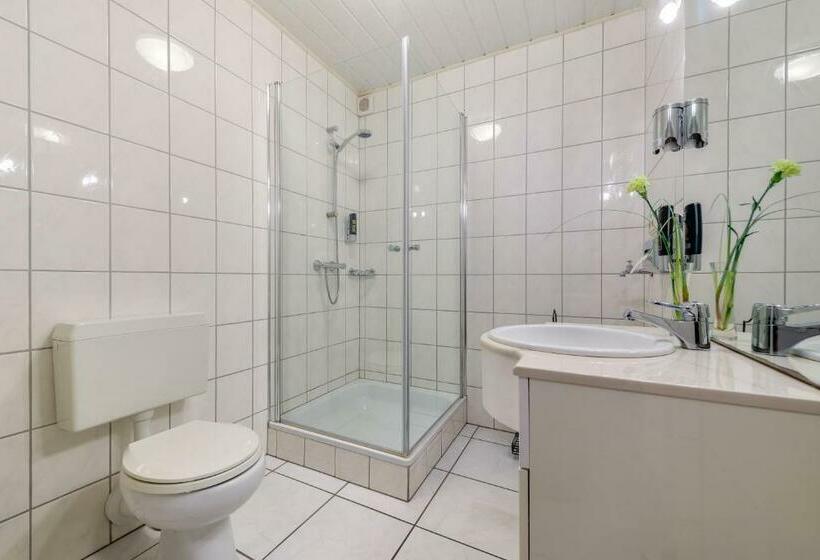 컴포트 룸, Moselhotel Ludwigs